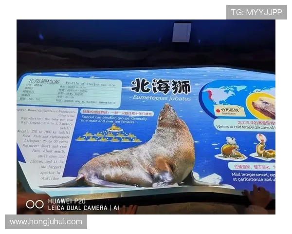 海洋之神地址登录入口最新官方入口指南帮助玩家顺利进入游戏体验