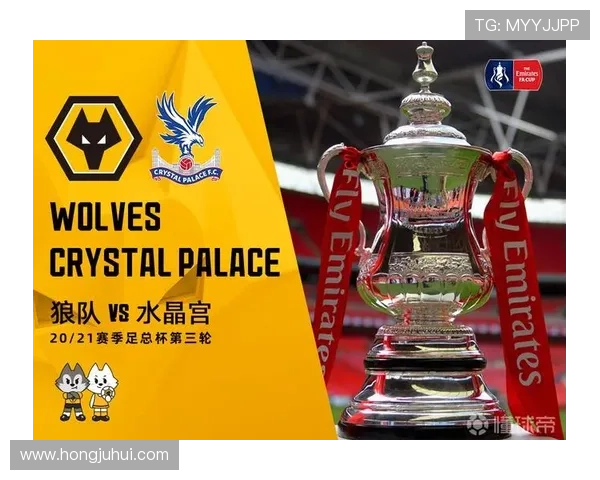 水晶宫队官网官方商城购买球队周边商品的最佳途径