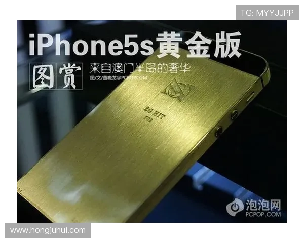 澳门黄金会员的申请流程与资格条件详尽指南